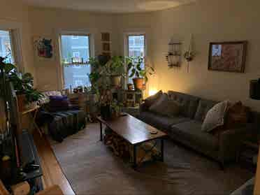 URGENT 1bd available June 1st!