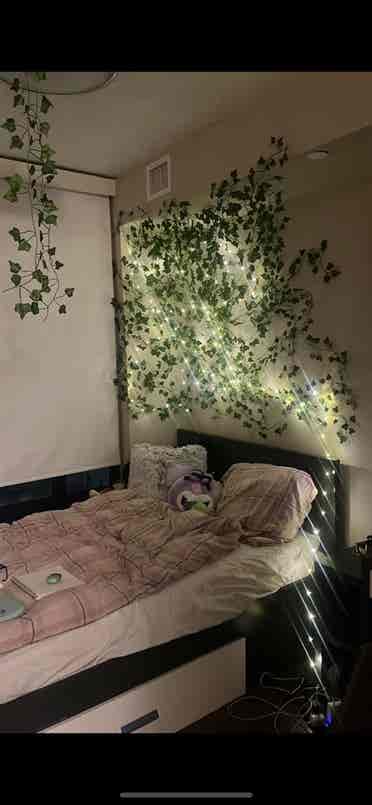 Summer sublet at icon (4 month)