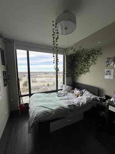 Summer sublet at icon (4 month)