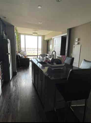 Summer sublet at icon (4 month)