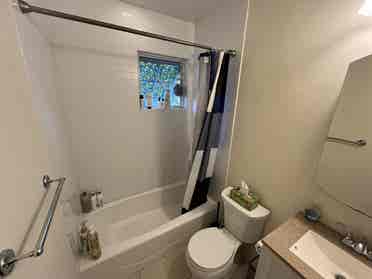 Davis Square Summer Sublet BA