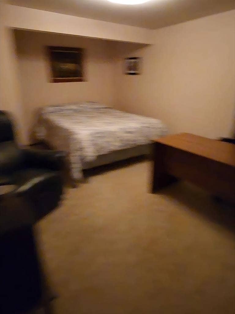 Basement Suite