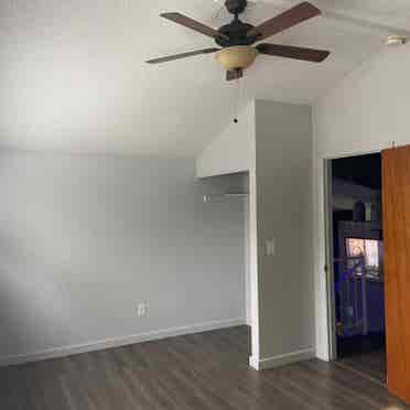 Looking for kick ass roommate