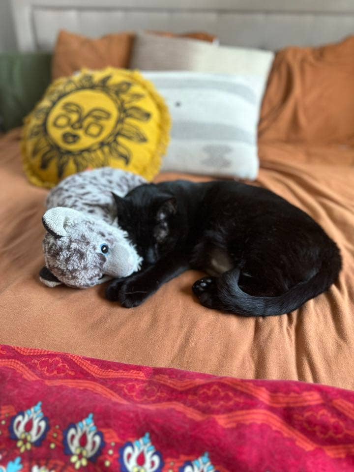 3rd ROOMIE NEEDED - Studio Room
