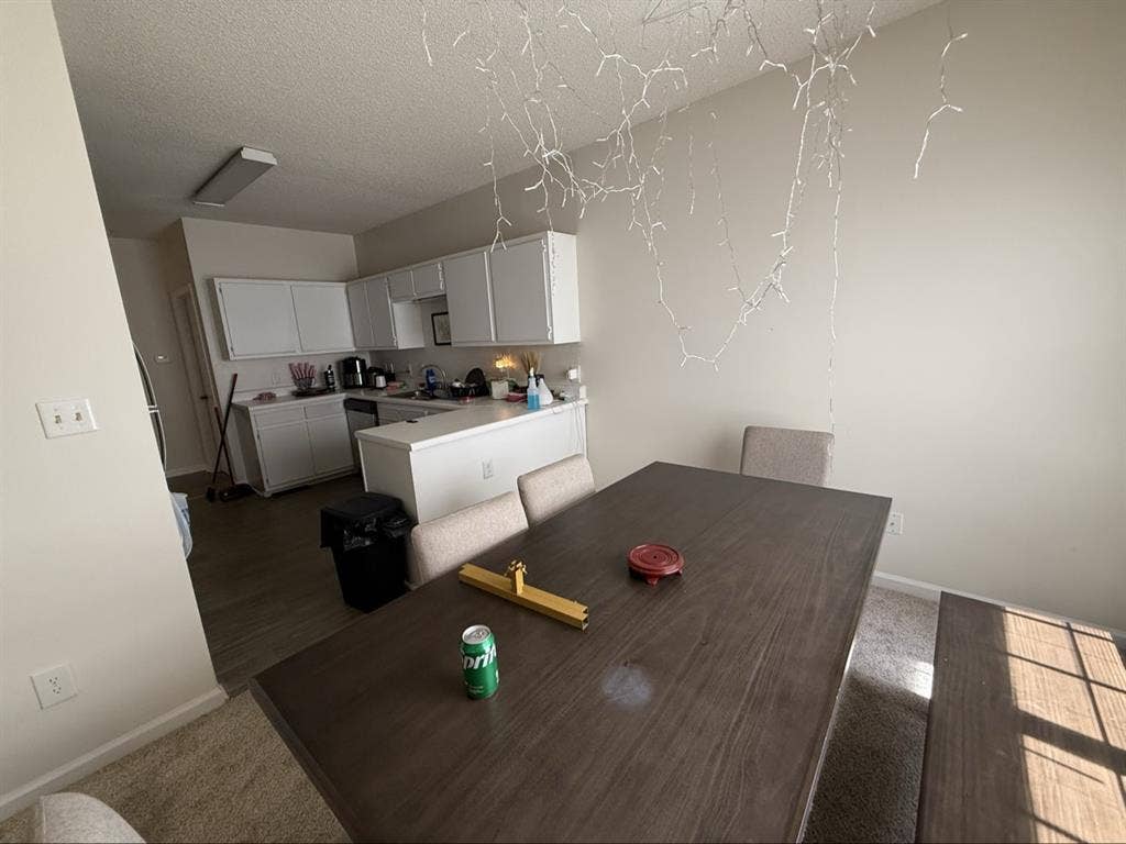 Looking for a third roommate.