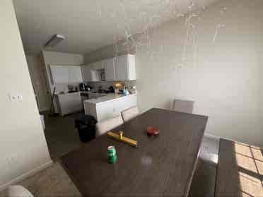 Looking for a third roommate.