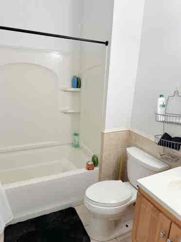 4BR Northeastern | Move September 1