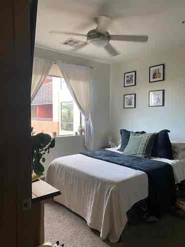 Looking for a roommate 5/10 in PHX!