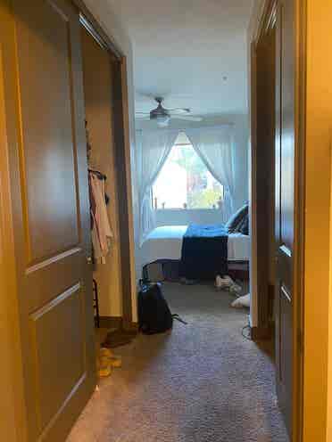 Looking for a roommate 5/10 in PHX!
