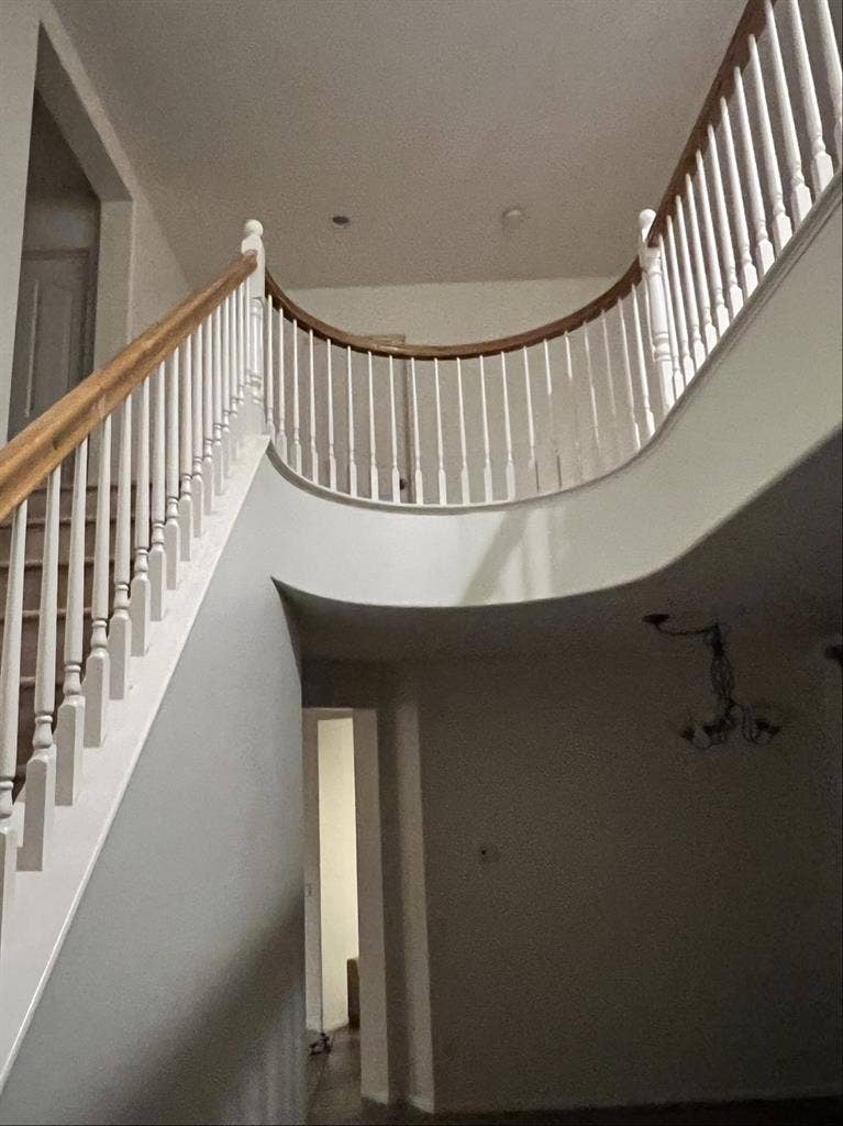 Looking for roommates for my house