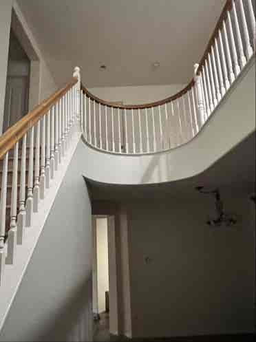 Looking for roommates for my house
