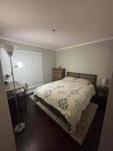 Need roommate in a bath condo