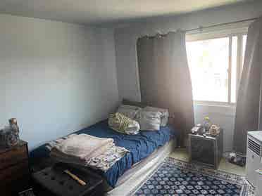 Looking for Roommate