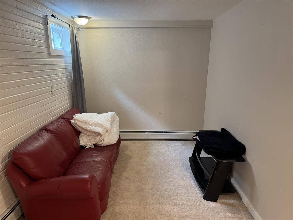 Spacious Pet-OK Basement Rental