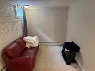 Spacious Pet-OK Basement Rental