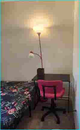 looking 4 a professional roommate!