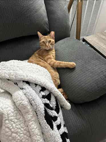 Affordable Room for Rentt