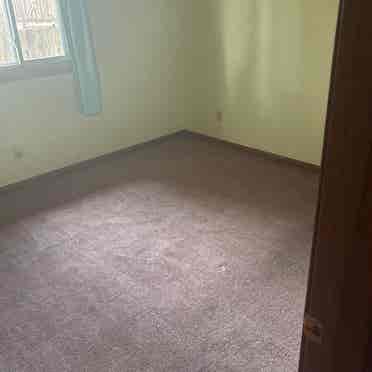 Looking for Roommate