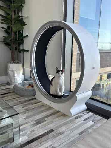 High Rise With Doorman!