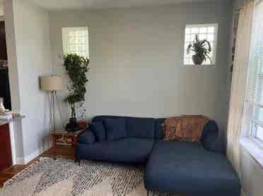 Looking for a third roommate asap!