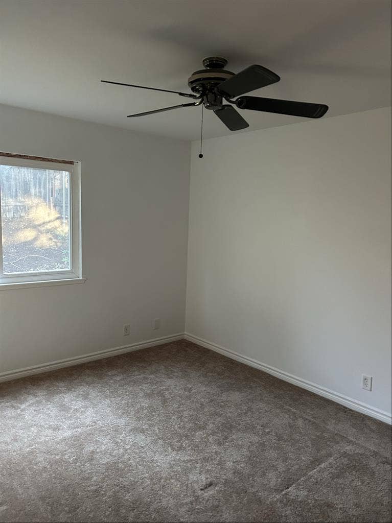 Private Room for Rent