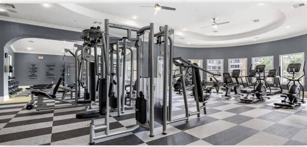 Roommate Wanted