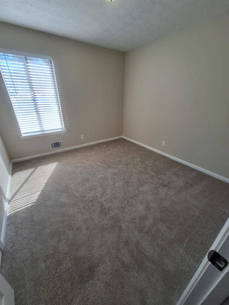 Looking for additional roomie