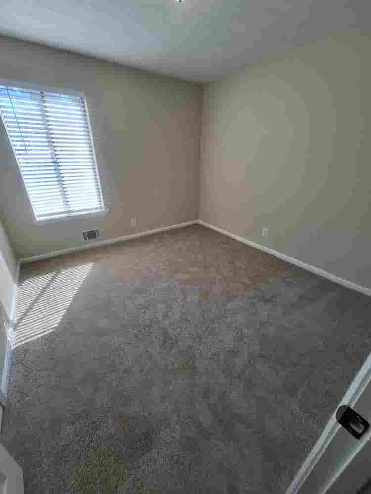 Looking for additional roomie