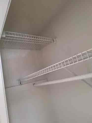 Looking for additional roomie