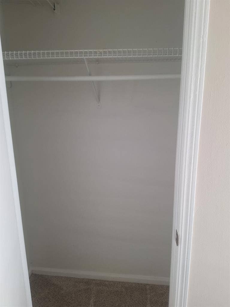 Looking for additional roomie
