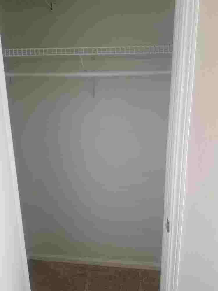 Looking for additional roomie