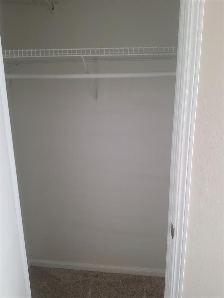 Looking for additional roomie