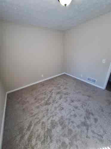 Looking for additional roomie