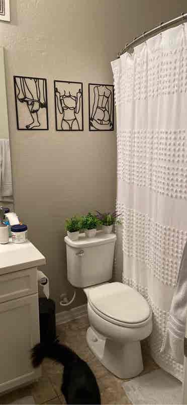 2 bedrooms for rent!