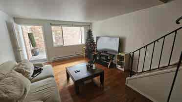 lynnwood 2 bed room