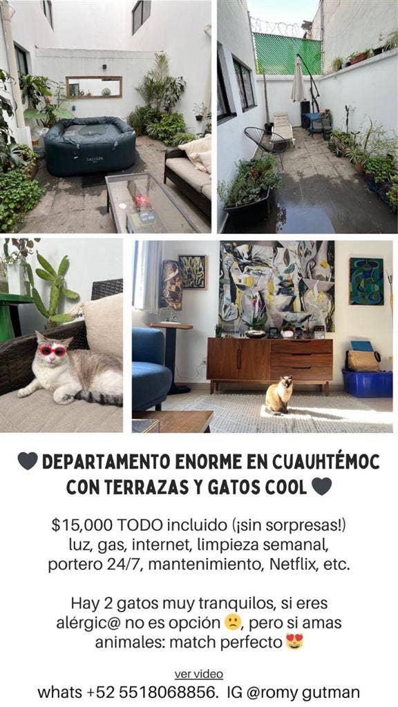 Depa enorme con dos gatos cool