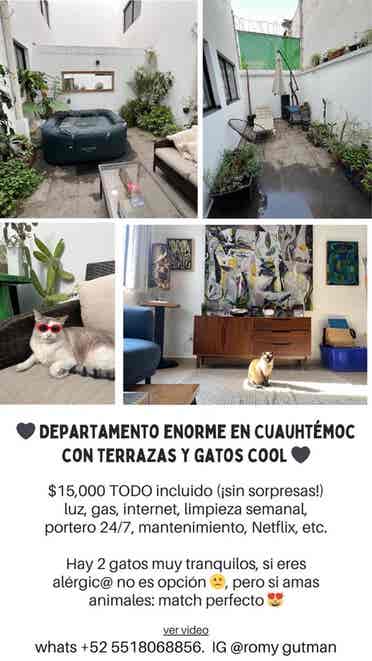 Depa enorme con dos gatos cool