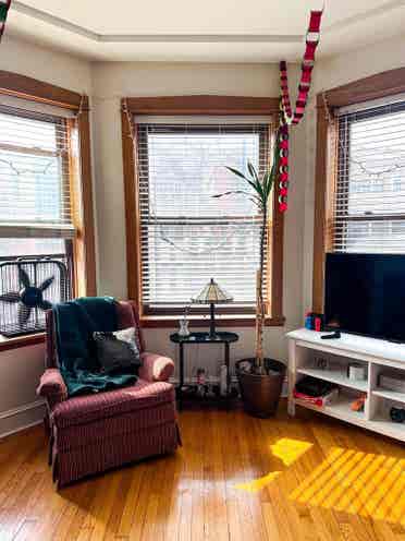 Looking for Roommates in Lakeview!