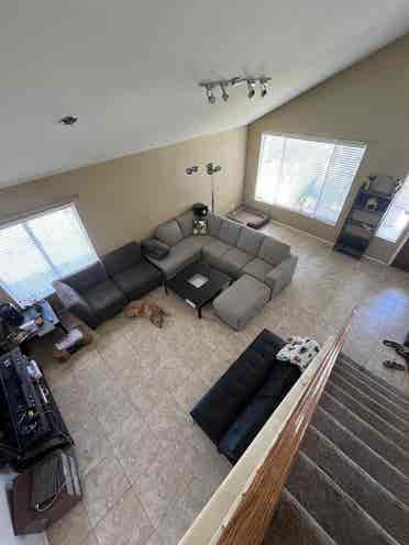 Roommate Wanted!!