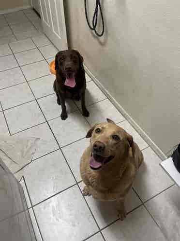 Roommate Wanted!!