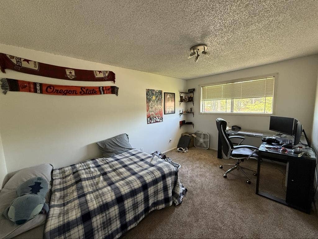 Large house in need of a roommate!