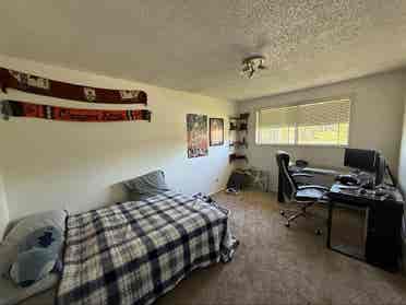 Large house in need of a roommate!