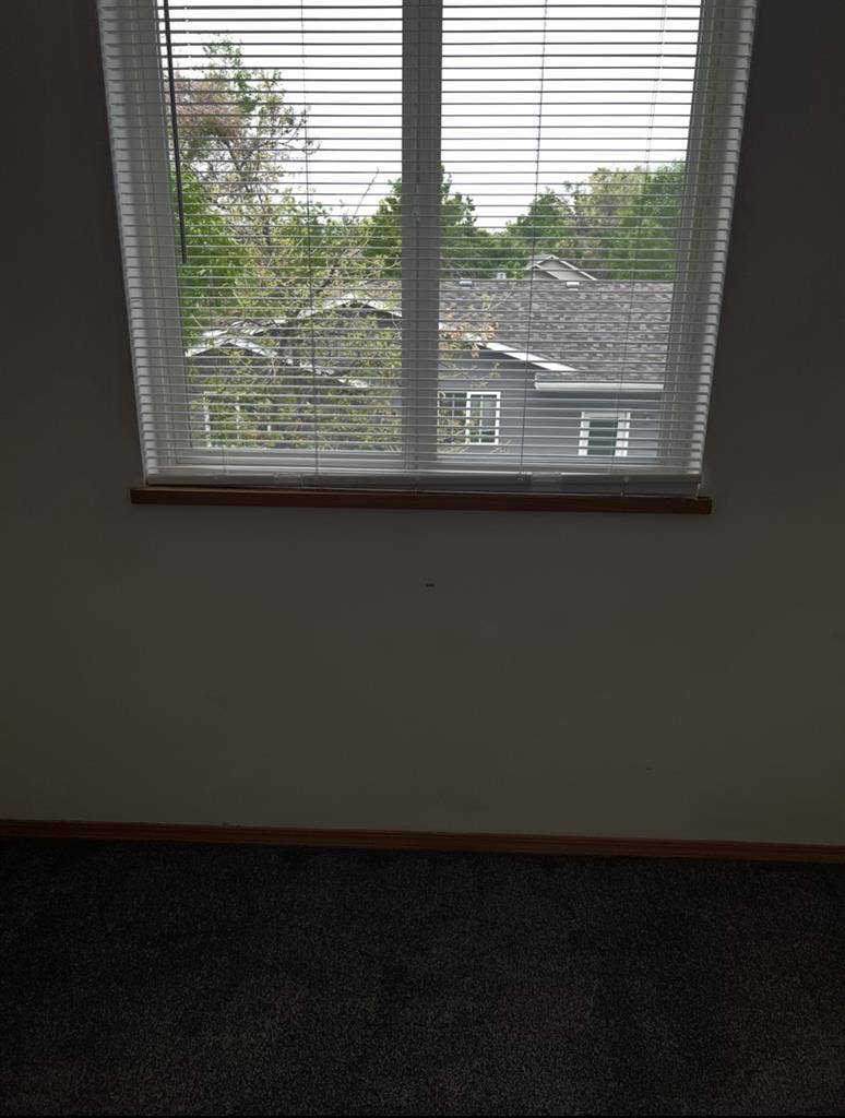1 room