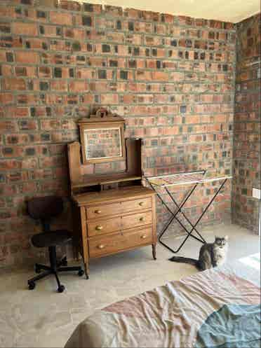 A quiet space needing a little life