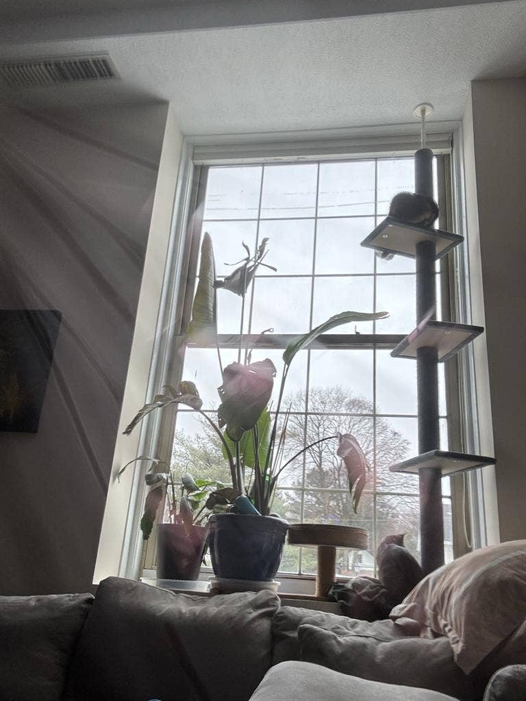 2 bedroom loft!
