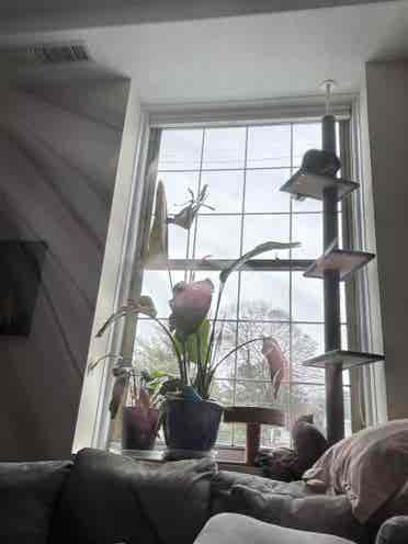 2 bedroom loft!