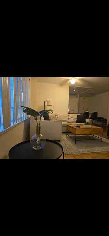 Short term rental till June th
