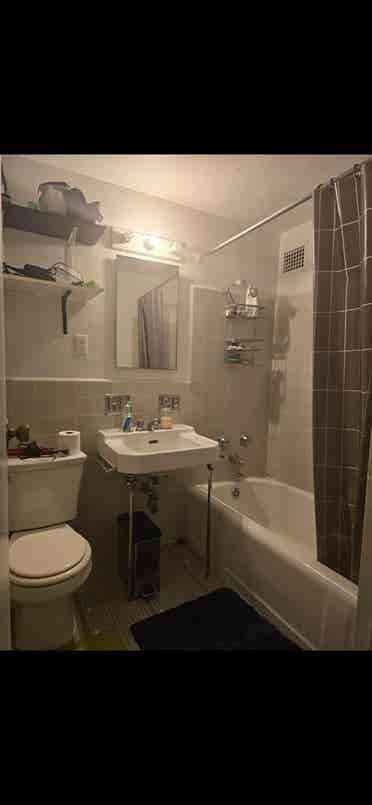 Short term rental till June th