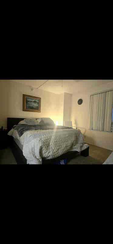 Short term rental till June th