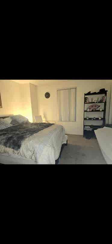 Short term rental till June th